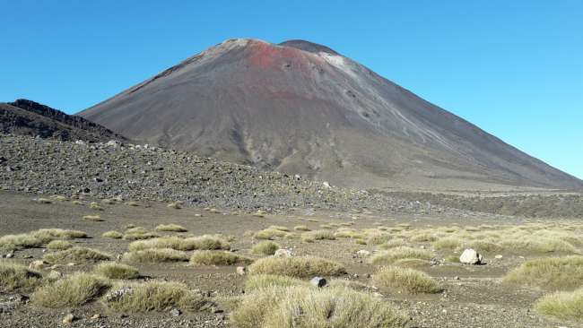 Vulkankegel im Tongariro NP
