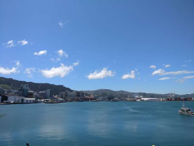 Blick auf Wellington 