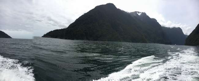Auf dem Milford Sound
