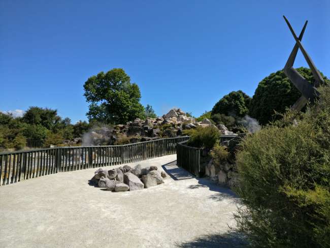 Park in Rotorua 