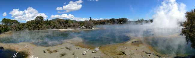 Dampfender See in Rotorua 