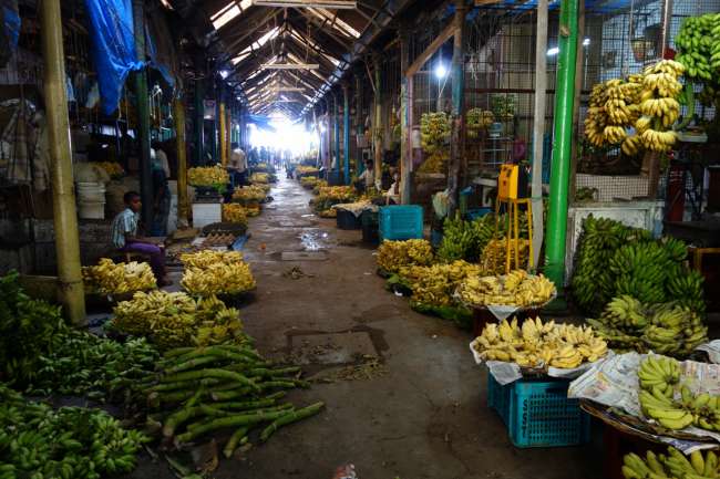 Bananen in allen Gelb- und Grüntönen auf dem Markt in Mysore