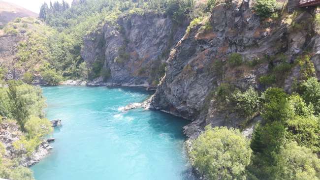 Queenstown Bungyjumping 