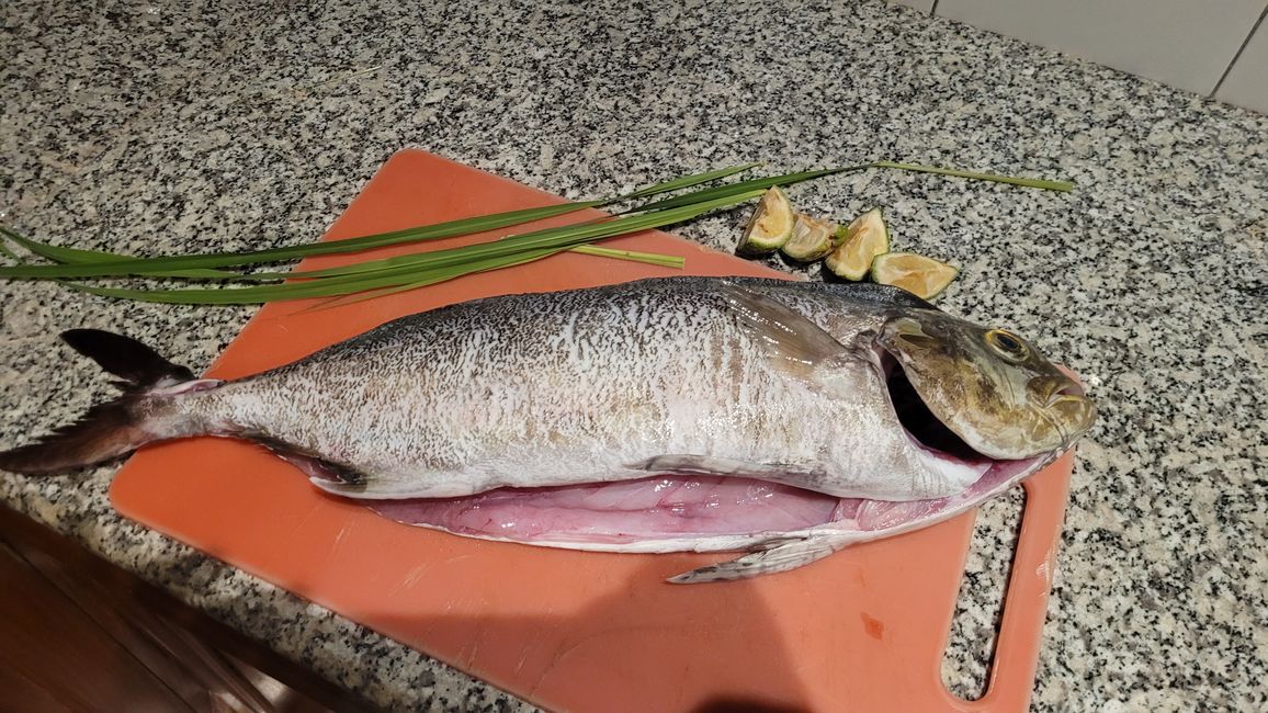 Abendessen - frischer Fisch