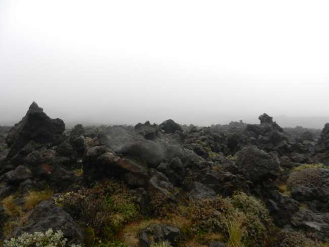 Tongariro NP lava