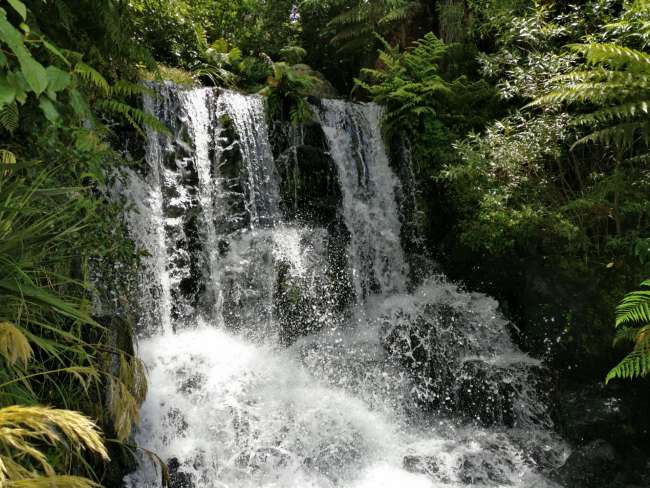 Wasserfall im Kiwi Encounter 