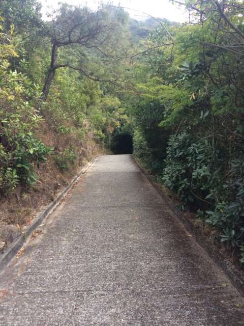 HK Trail